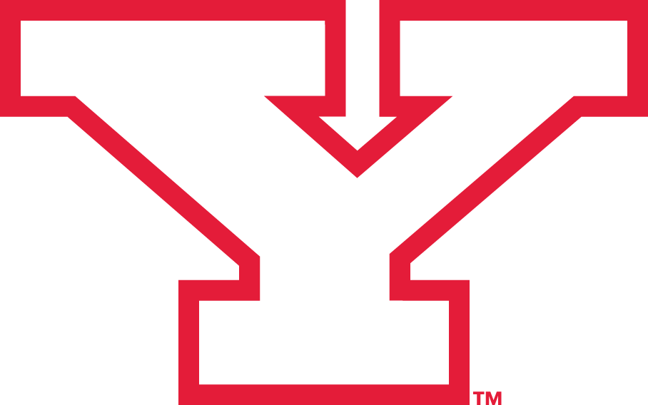 Youngstown State Penguins 1993-Pres Alternate Logo v2 DIY iron on transfer (heat transfer)